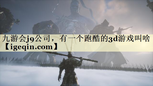金年会公司，有一个跑酷的3d游戏叫啥